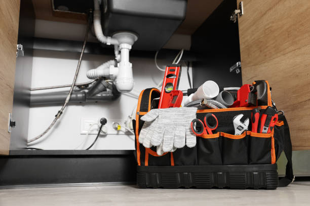 Best Best Plumbers Near Me  in Pierce, NE